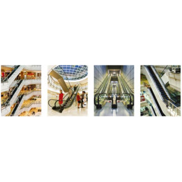 Shopping VVVF Mall Escalator avec économiseur d&#39;énergie